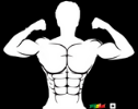 FLEX